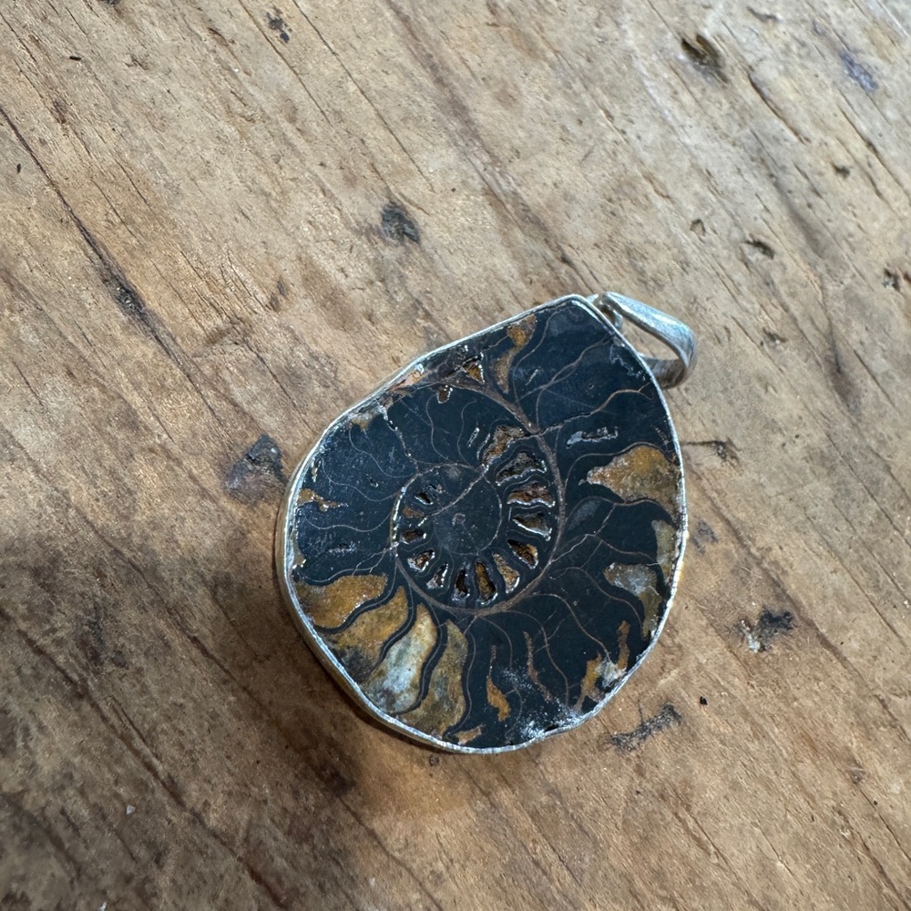 Fossil Ammonite Pendant